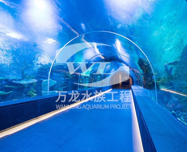 海洋館