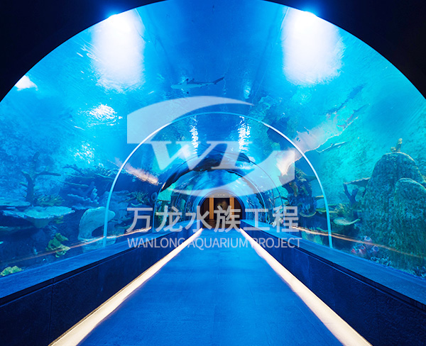海洋館
