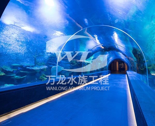 大型海洋主題公園如何構建景觀和布局？