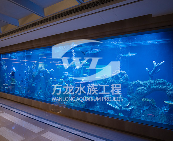 杭州九溪玫瑰園亞克力魚缸