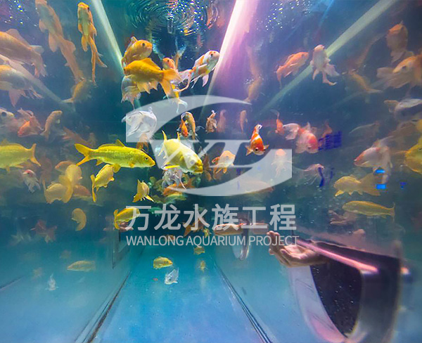 負(fù)壓魚缸