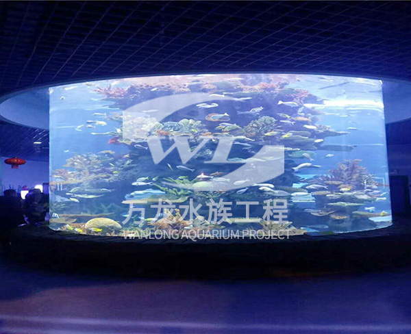 大型亞克力魚缸