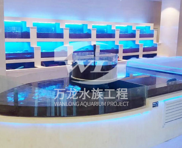 負(fù)壓魚缸如何選擇合適的過濾器？