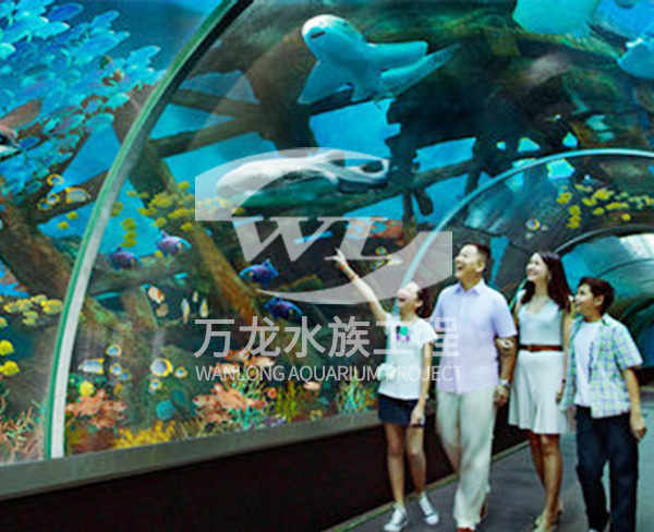 海洋館