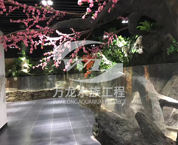 萌寵樂園