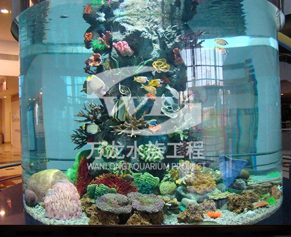 海底景觀設(shè)計(jì)