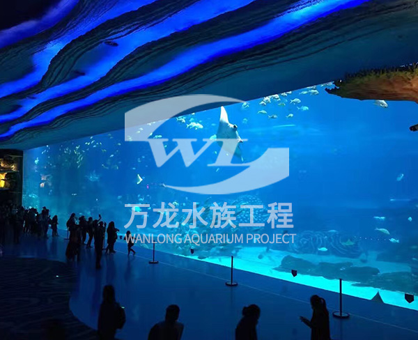 海洋館