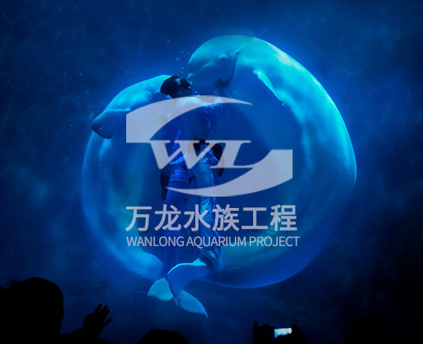 海洋館