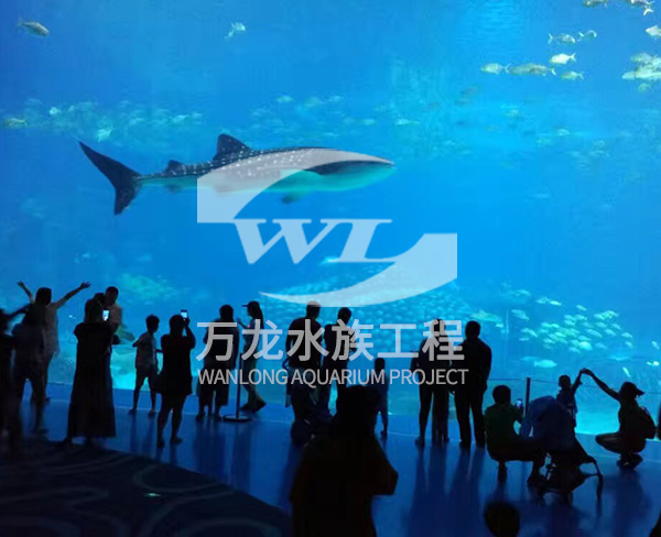 海洋館