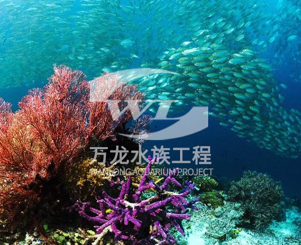 海底景觀設(shè)計(jì)