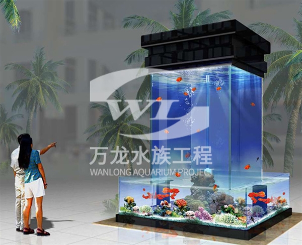 負壓魚缸
