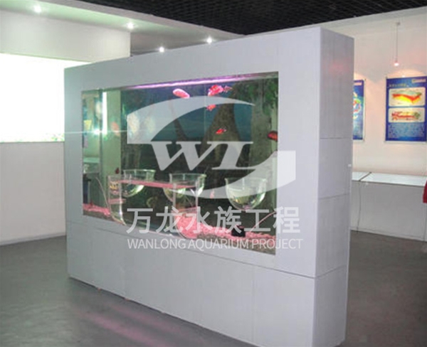 負壓魚缸