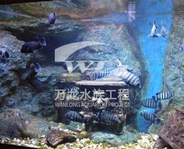 浙江安吉亞海底景觀設(shè)計(jì)