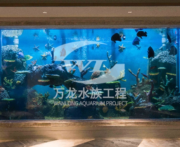 諸暨御江灣海底景觀設(shè)計(jì)