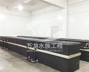 如何辨別大型魚缸的材質(zhì)？