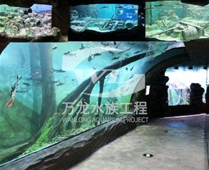 辦公室魚(yú)缸的過(guò)濾器使用特點(diǎn)