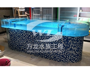 觀賞魚缸的過濾器使用特點
