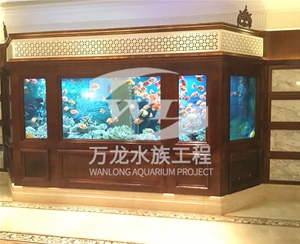 吃奶魚魚缸為什么有異味