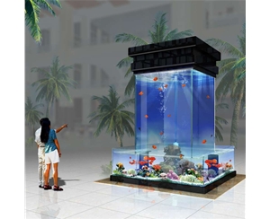 家庭魚缸缸體表面發(fā)黃怎么解決